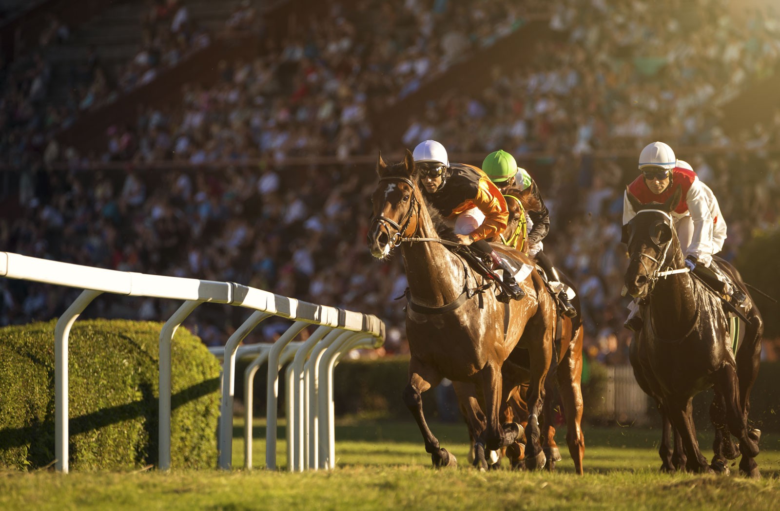 dubai world cup race card today